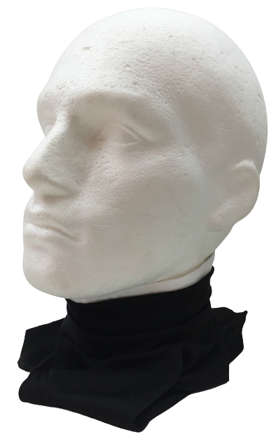 Load image into Gallery viewer, CLERICAL SHIRT COLLAR Priest Costume Halloween Fancy Dress Neck in Black-3