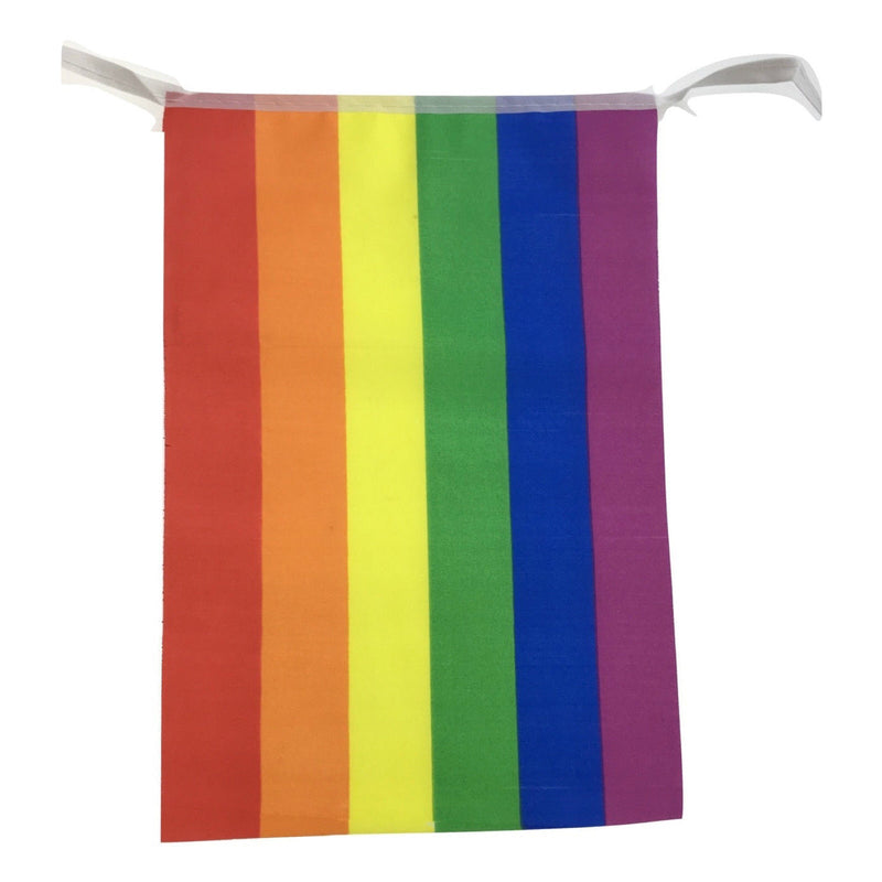 Load image into Gallery viewer, 10x 3.6m RAINBOW BUNTING FLAG Party Banner Stall Flags Decor Gay Pride LGBT BULK-2