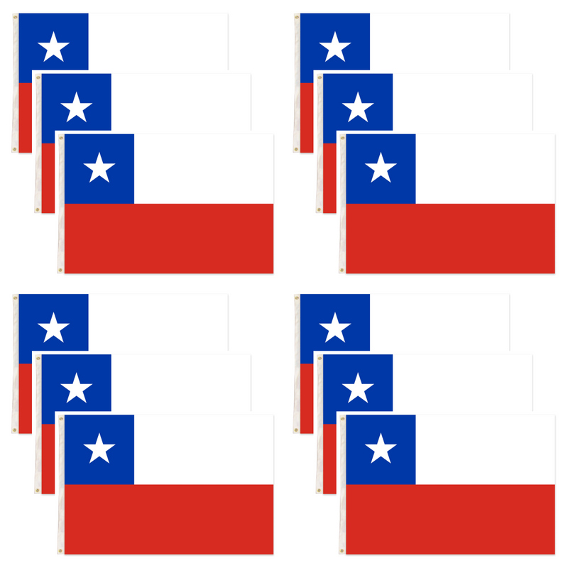 Load image into Gallery viewer, 12x Chile Country Flag National Olympics 150cm x 90cm Chileno Chili Chi Chi Chi-1