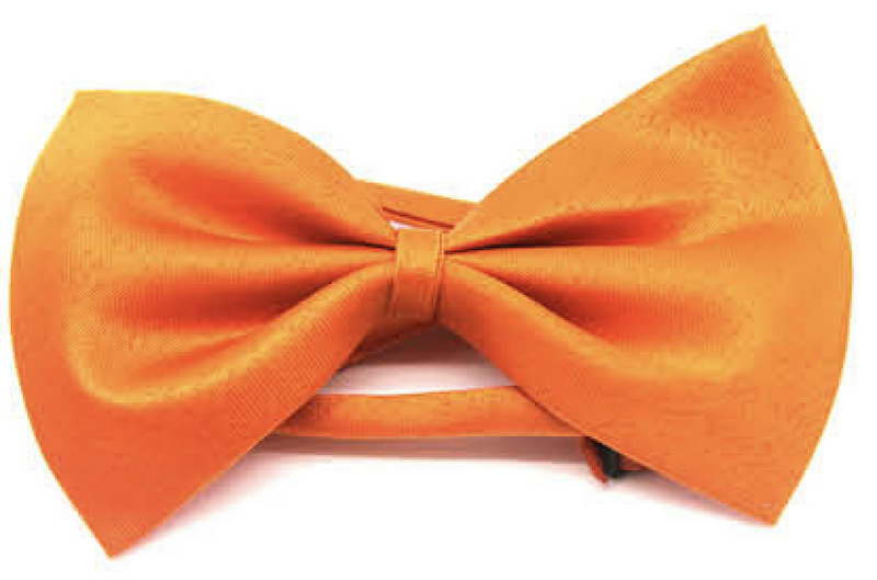 Load image into Gallery viewer, Mens BOW TIE Wedding Tuxedo Formal Bestman Necktie Classic Plain Party - Orange-0
