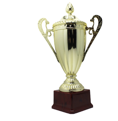 Load image into Gallery viewer, Large Classic Gold Trophy Cup Novelty Winners Prize Solid Achievement Award-0