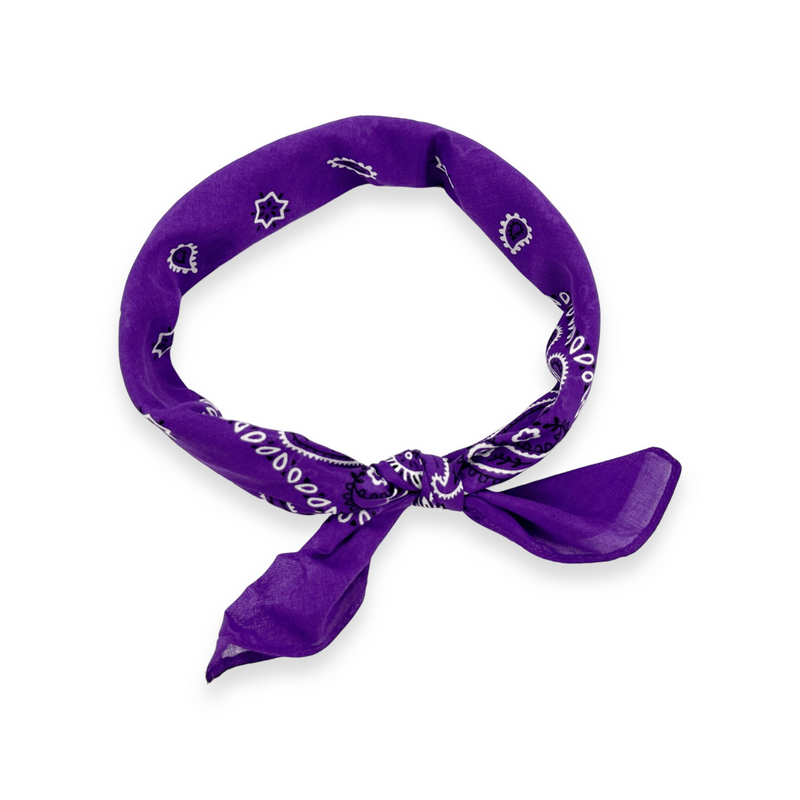 Load image into Gallery viewer, 20x BANDANA Paisley 100% COTTON Head Wrap Durag Bandanna Scarf Mask BULK - Purple-4