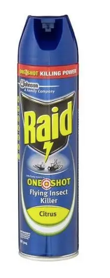 Load image into Gallery viewer, Raid One Shot 320g Flying Insect Killer Fly Spray - Citrus