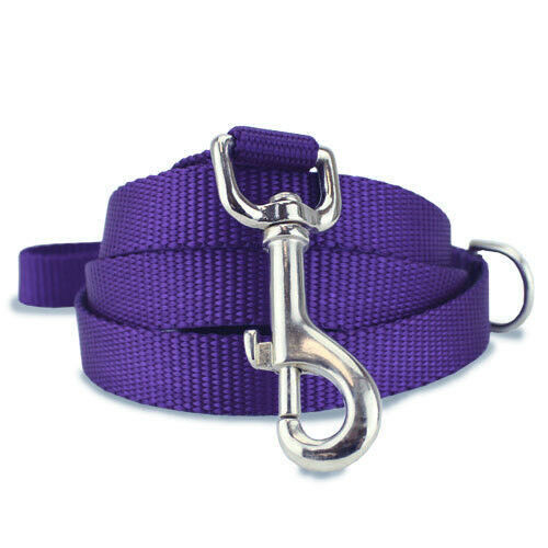 Load image into Gallery viewer, Plain Nylon Dog Leash Lead Training Obedience Recall Walk - Assorted Colours