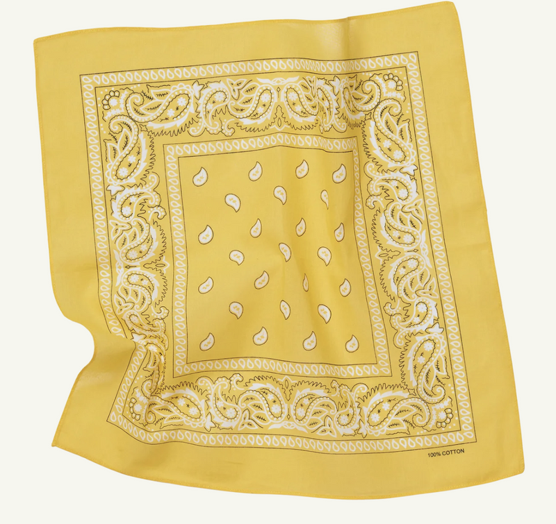 Load image into Gallery viewer, BANDANA Paisley 100% COTTON Head Wrap Durag Bandanna Summer Biker Scarf Mask - Yellow-3