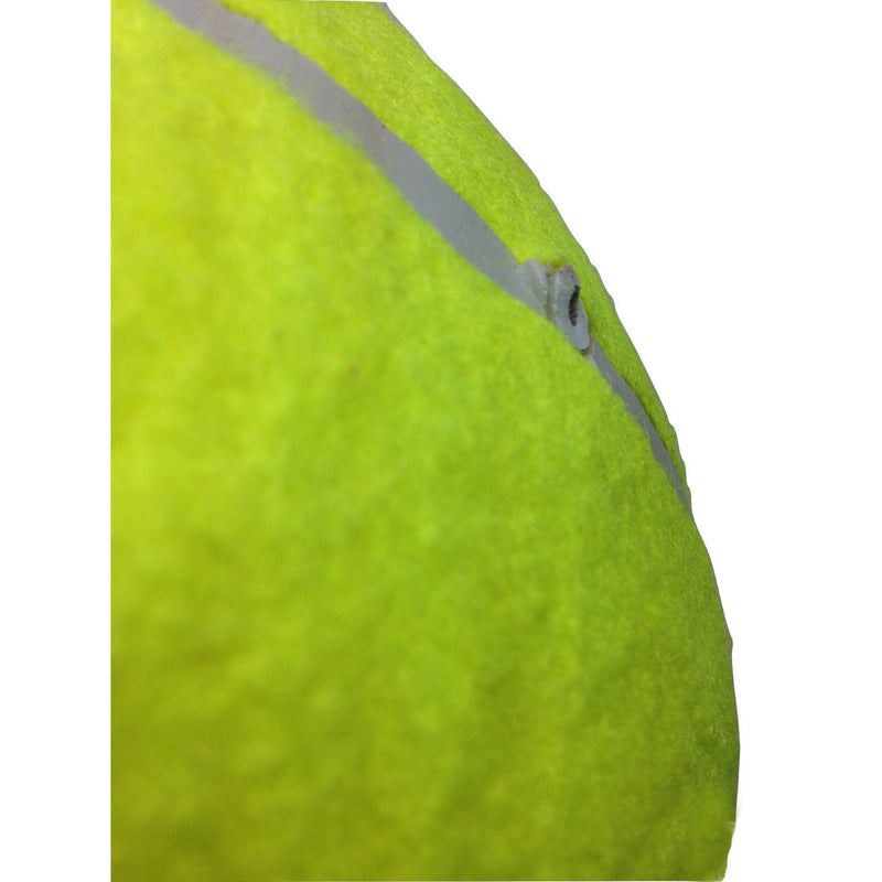 Load image into Gallery viewer, 10" GIANT TENNIS BALL with BALL PUMP Air Inflator for Autographs Signatures-2