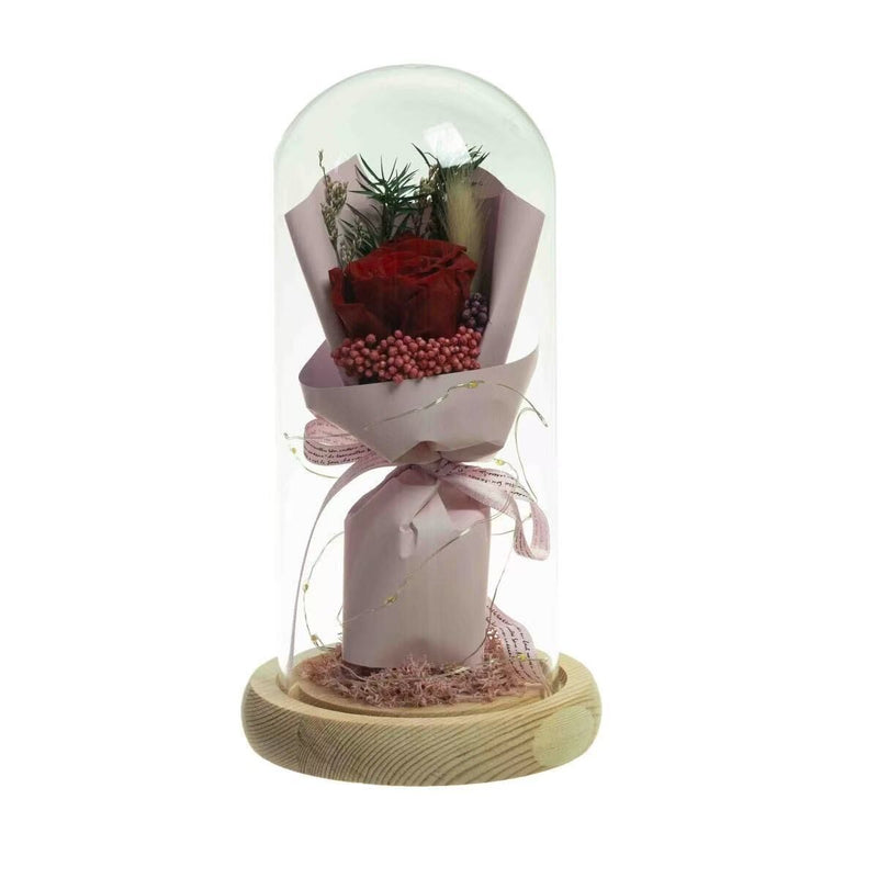 Load image into Gallery viewer, Preserved Dried Rose Flower 21cm Floral Set in Glass Dome w/ Fairy Lights in Red-0