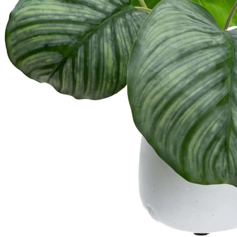 Load image into Gallery viewer, 30cm Faux Calathea Bush in Ceramic Pot Artificial Plant Tabletop Flower Décor-2