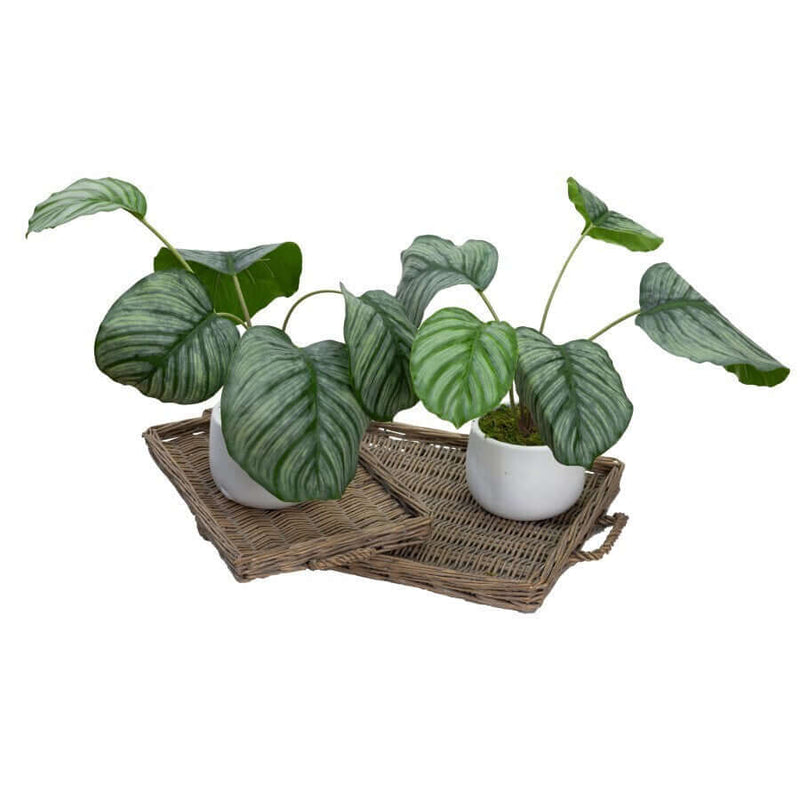 Load image into Gallery viewer, 30cm Faux Calathea Bush in Ceramic Pot Artificial Plant Tabletop Flower Décor-3