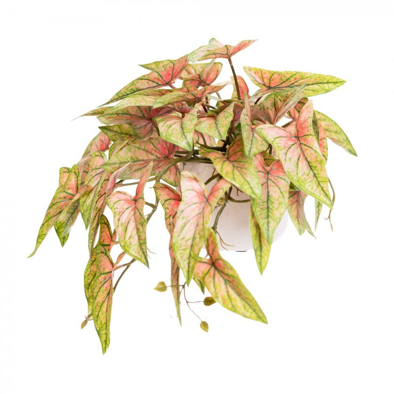 Load image into Gallery viewer, 30cm Potted Faux Syngonium Bush in Pot Artificial Flower Plant Green Decor in Red-0