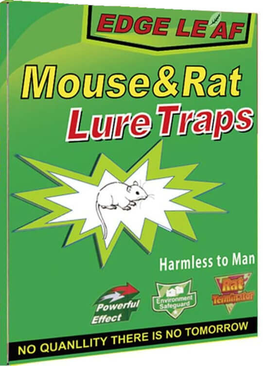 Load image into Gallery viewer, 1x Rat Mice Mouse Rodent Bug Cockroach Snare Lure Traps Catcher Sticky Pad-2