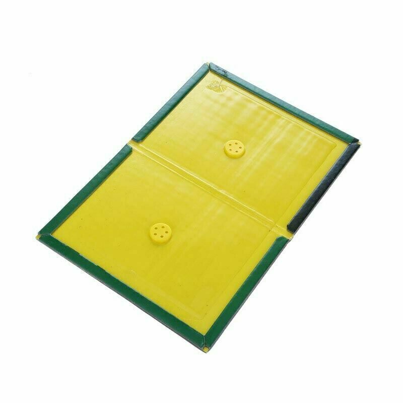 Load image into Gallery viewer, 1x Rat Mice Mouse Rodent Bug Cockroach Snare Lure Traps Catcher Sticky Pad-1