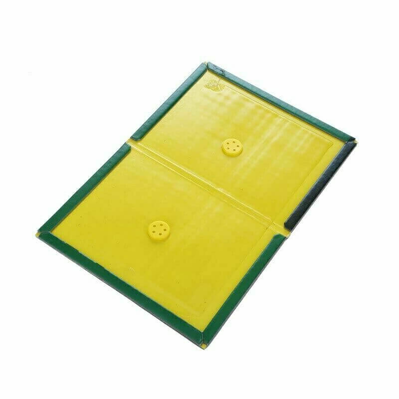 Load image into Gallery viewer, 1x Rat Mice Mouse Rodent Bug Cockroach Snare Lure Traps Catcher Sticky Pad-1