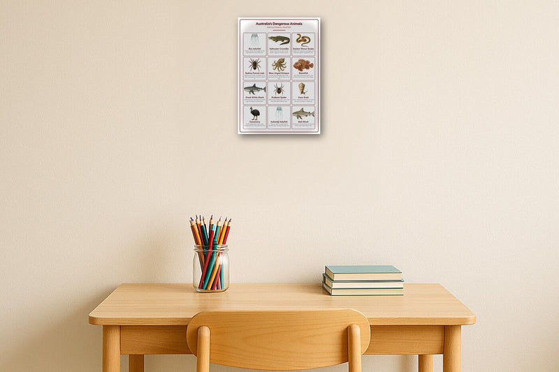 Load image into Gallery viewer, Australia's Dangerous Animals: A4 Matte Laminated Educational Poster Print - 210x297mm-2
