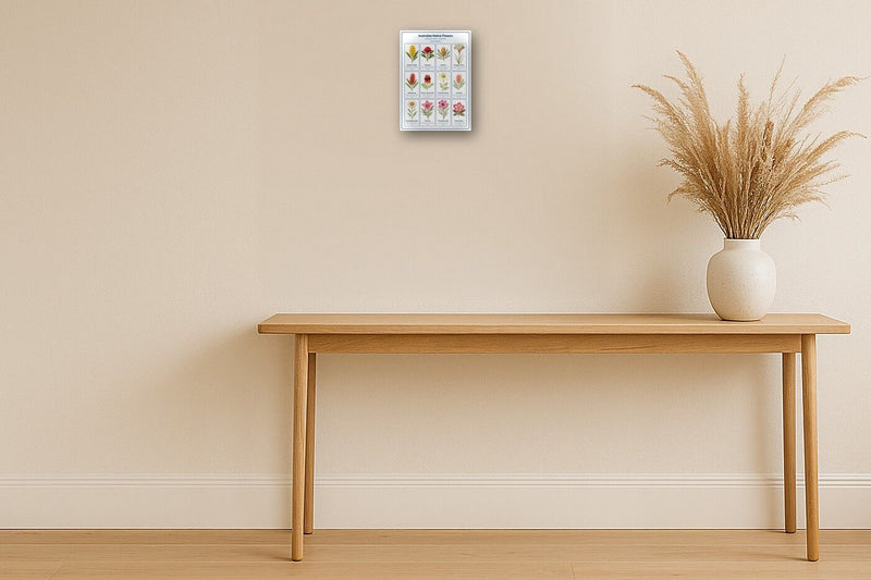 Load image into Gallery viewer, Australian Native Flowers: A4 Matte Laminated Educational Poster Print - 210x297mm-2