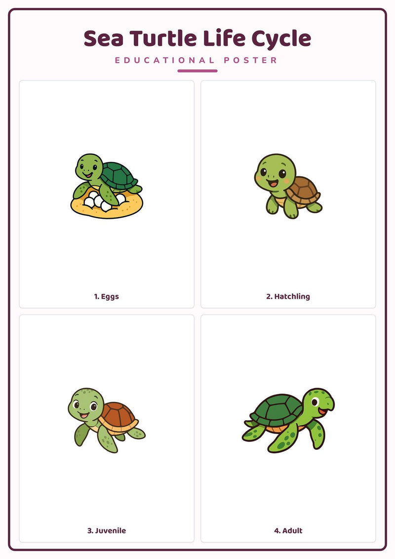 Load image into Gallery viewer, Sea Turtle Life Cycle: A4 Matte Laminated Educational Poster Print - 210x297mm-1