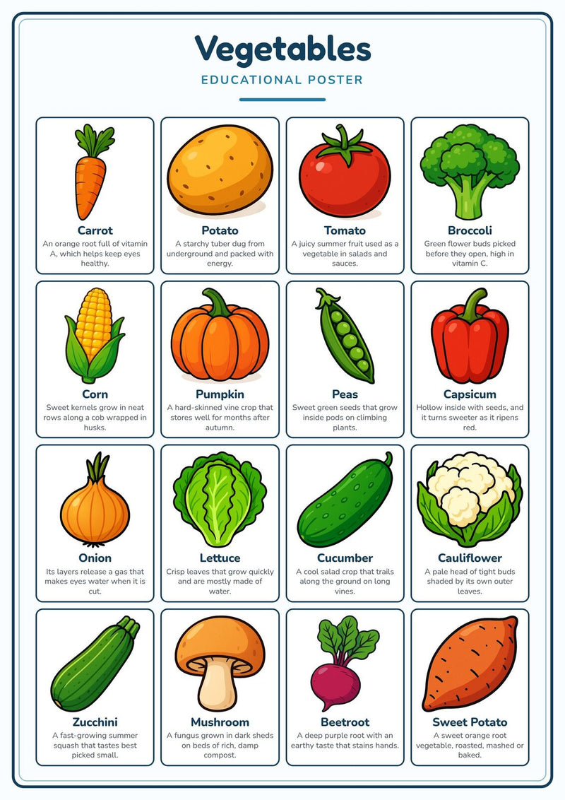 Load image into Gallery viewer, Vegetables: A4 Matte Laminated Educational Poster Print - 210x297mm-1