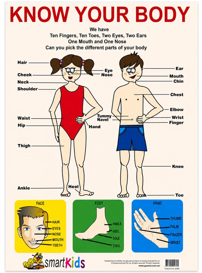 Load image into Gallery viewer, Know Your Body Educational Poster - A2 Size (Printed in Australia) - Portrait-0