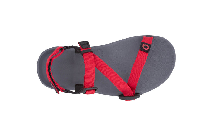 Load image into Gallery viewer, Xero Shoes Z-Trail Kids Barefoot Trail Sandal