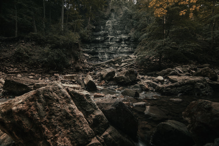 Adventureco Professionals Program