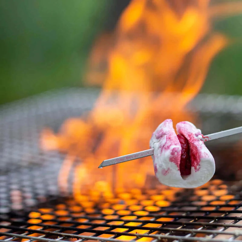 Load image into Gallery viewer, Primus Campfire Skewers | Adventureco
