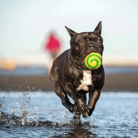 DOGGY ECO Eco Ball Woollen Dog Ball "Green and Yellow Swirl" | Adventureco