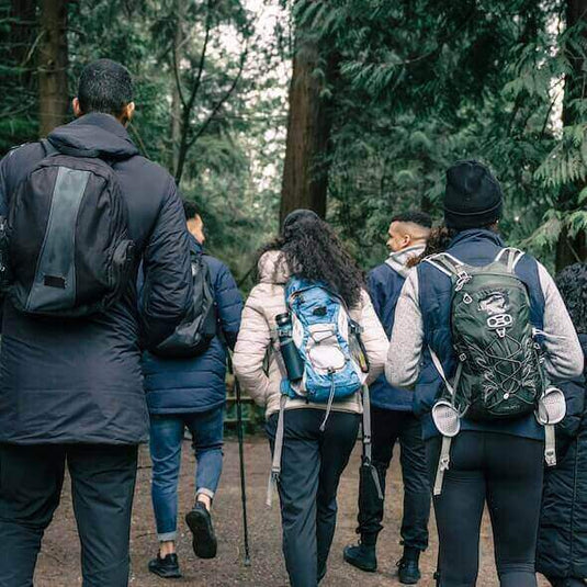 Group of hikers with sustainable backpacks exploring a forest trail