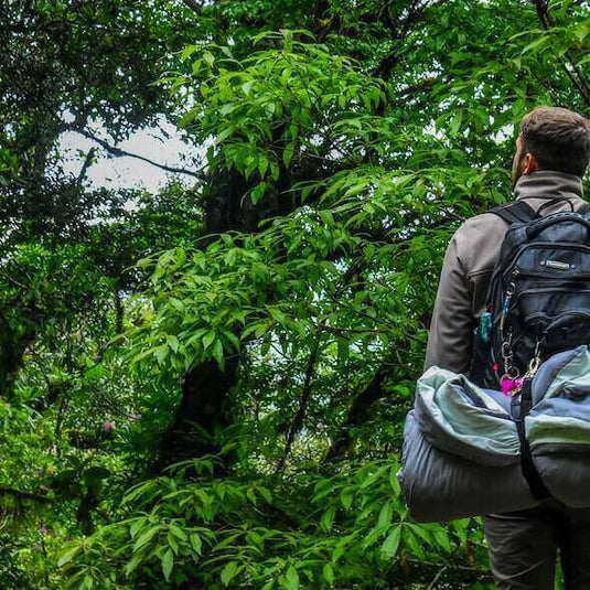 Camper with a backpack and rolled tent stands in lush green forest practicing sustainable camping.