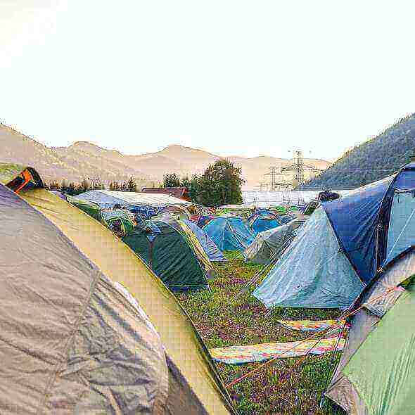 Multiple colorful tents set up in a large open field with mountains in the background, showcasing a popular camping site.