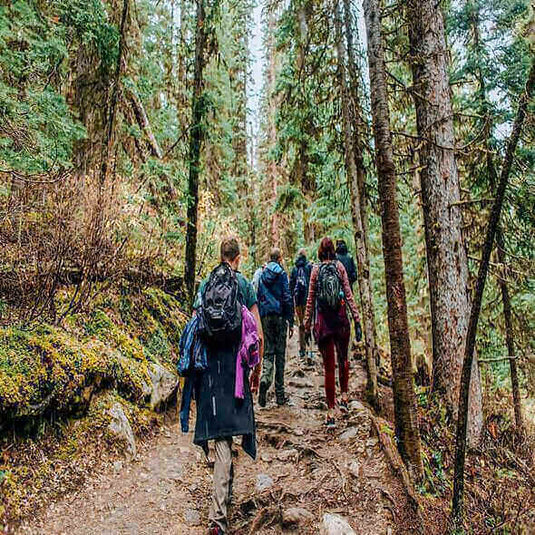 Group of hikers walking through a forest trail during a day hike with backpacks and gear.