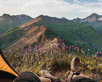 View of mountains and wildflowers from a tent, highlighting sustainable camping practices and the importance of preserving nature's beauty