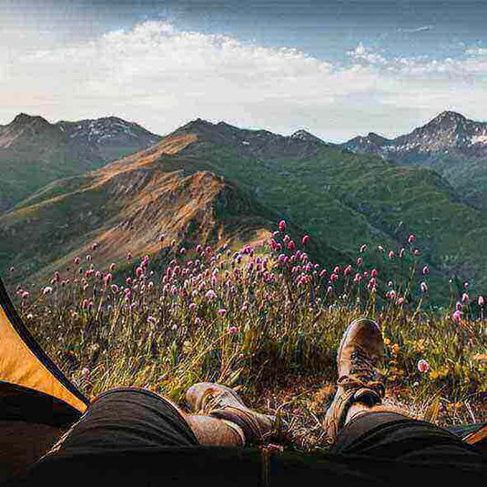 View of mountains and wildflowers from a tent, highlighting sustainable camping practices and the importance of preserving nature's beauty