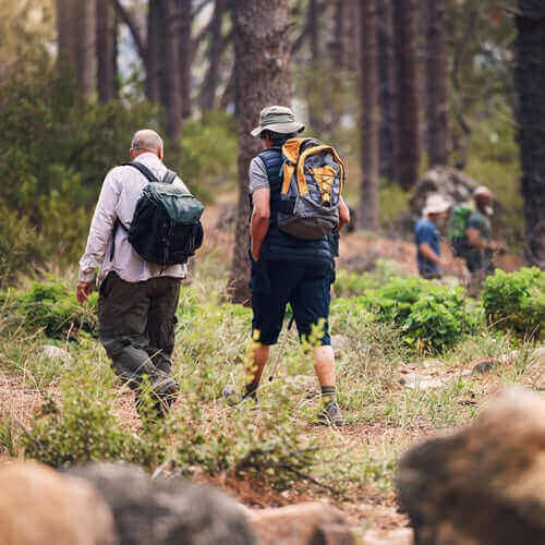 Two hikers with backpacks explore a hidden hiking trail in an Australian forest surrounded by lush greenery and towering trees. - Adventureco Blog