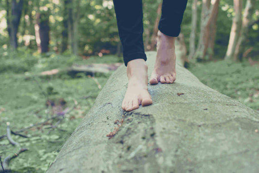 Preserving Adventure, One Sustainable Product at a Time - Adventureco Blog