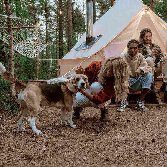 Family and dog enjoying a cozy camping trip in the woods, near a tent and hammock, preparing for a pet-friendly outdoor adventure