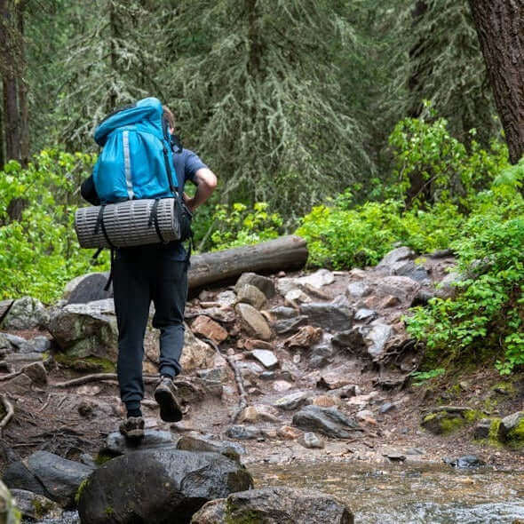Hiker with a blue backpack trekking on rocky trail in a lush green forest.