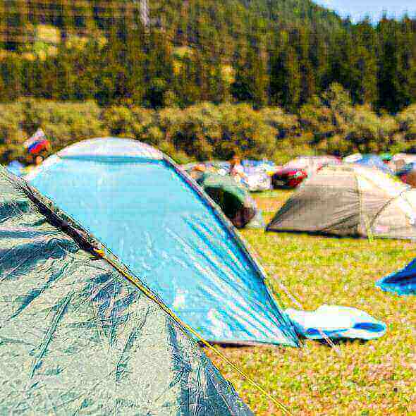 Camping tents set up in a grassy area surrounded by nature, highlighting the Australian love for outdoor camping experiences.