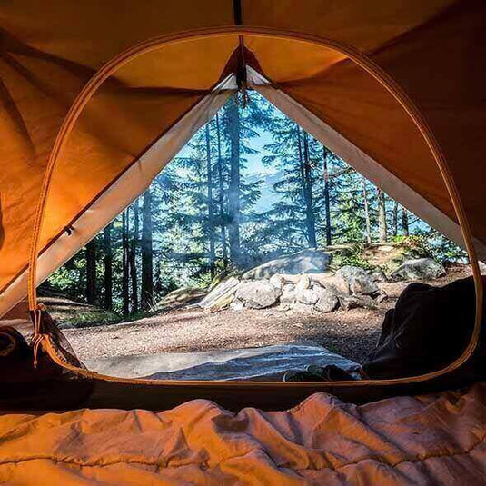 Inside view of a camping tent looking out to a forest in Australia - Adventureco Blog