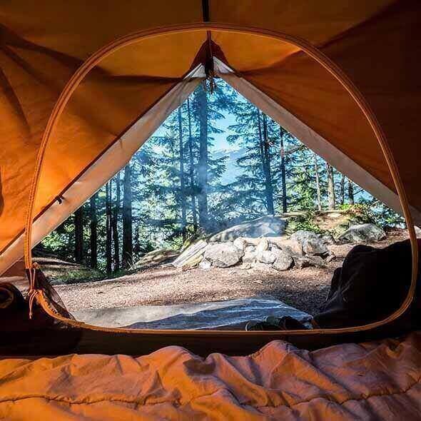 Inside view of a camping tent looking out to a forest in Australia