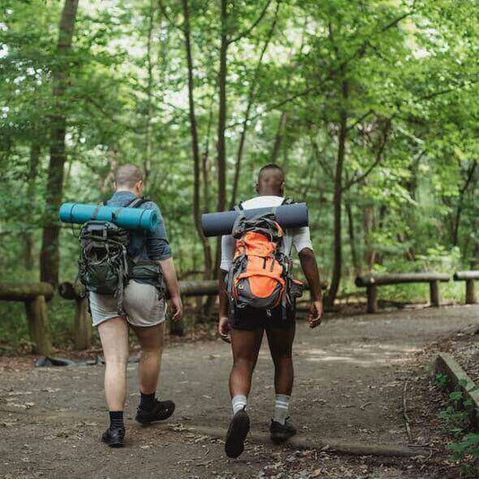 Two hikers with eco-friendly gear walking on a forest trail for sustainable camping and hiking