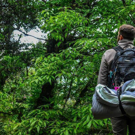 Backpacker camping in lush green forest, showcasing climate-smart gear for adapting to a changing environment.