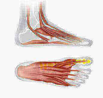 Benefits of barefoot shoes - Adventureco Blog