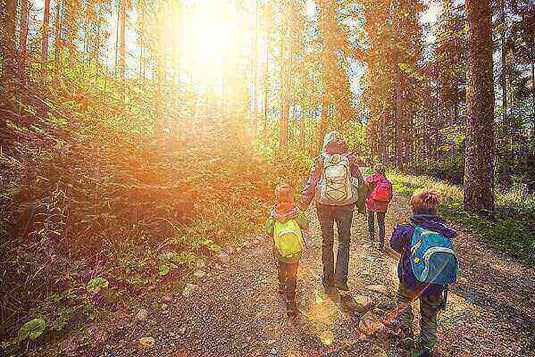 We love Sherpa, you should too! - Adventureco Blog