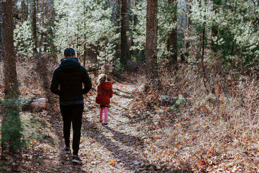 Parent and child hiking on a forest trail, demonstrating safe and fun outdoor adventure activities for kids.