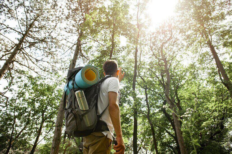 Backpacker hiking in lush forest, embracing sustainable camping techniques while exploring nature with intent in the Australian wilderness.