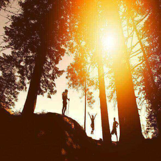Family hiking with kids through a forest at sunset, enjoying the great outdoors and creating lasting memories together. - Adventureco Blog