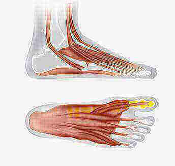 Benefits of barefoot shoes - Adventureco Blog