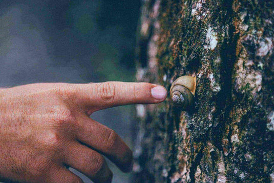 Benefits Of Hiking - Adventureco Blog