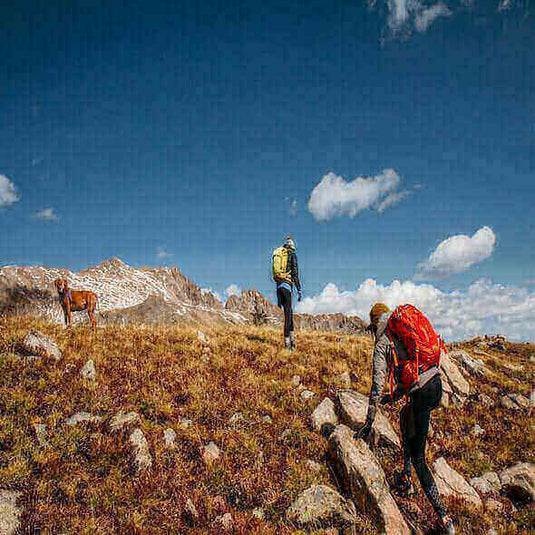 Hikers with backpacks trekking up a rocky, grassy trail with mountains and clear blue sky in the background during a camping trip.