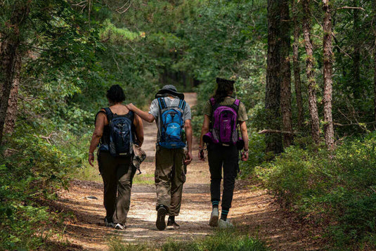 Hikers with backpacks walking through a lush forest trail, enjoying nature's healing power through hiking and camping.